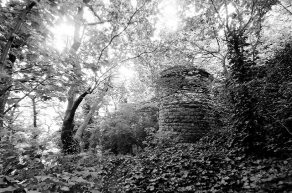 kingwell wood, tower, worbrough common