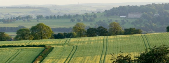 View of Wentworth Castle from Worsbrough Common.